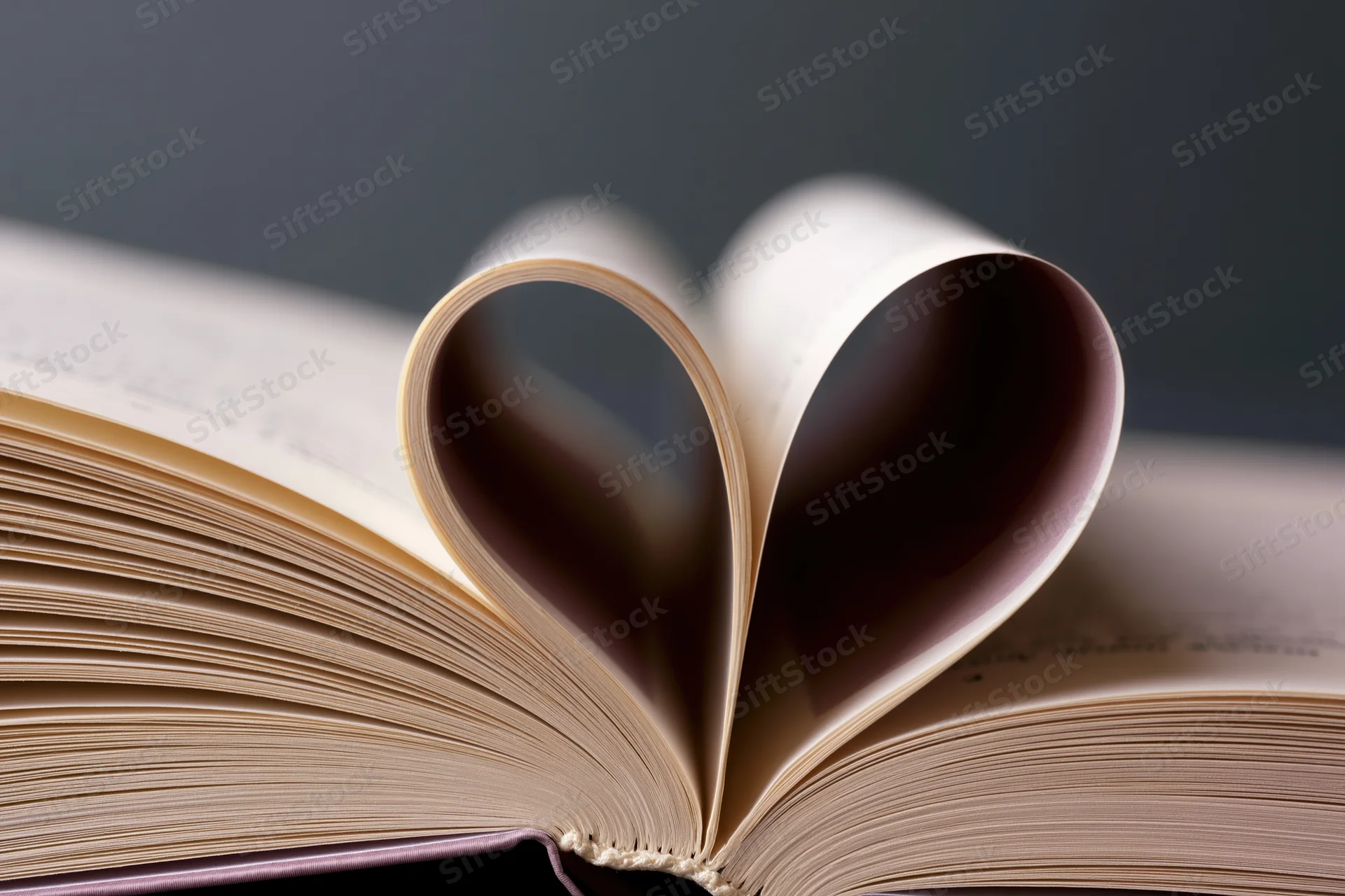 Open book with pages folded into a heart shape on a gray background