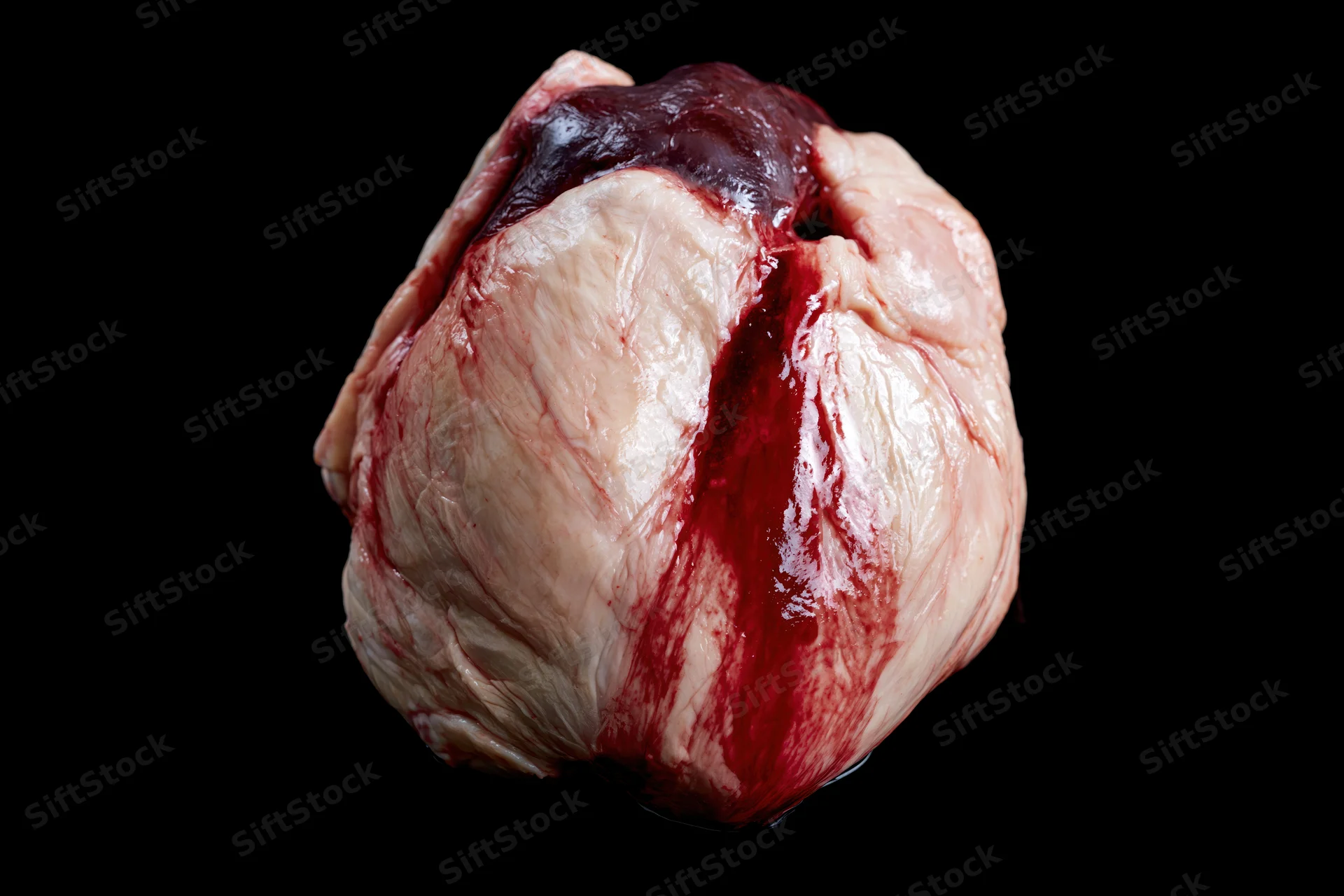 Raw animal heart with blood streaks on black background