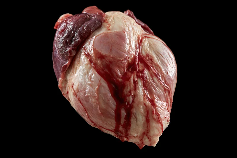 Raw animal heart with blood streaks on black background