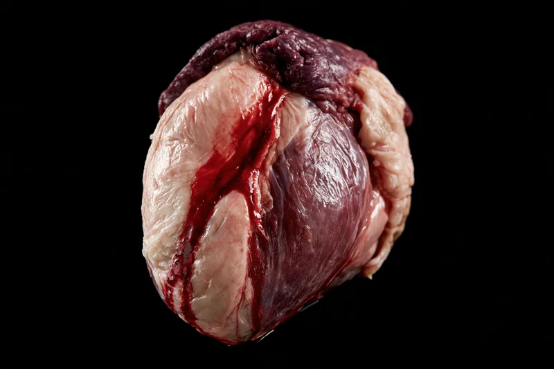 Raw animal heart with fresh blood streaks on black background