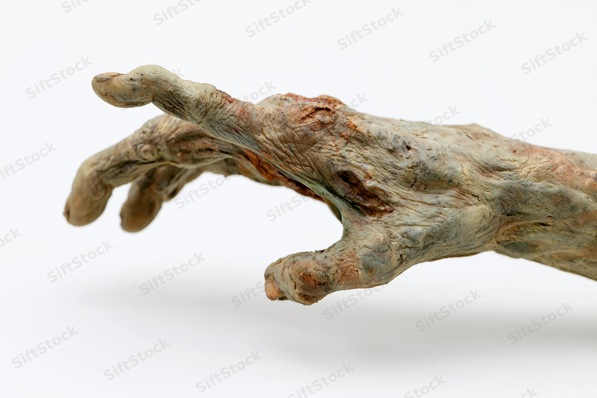 Zombie hand and forearm reaching forward with curled fingers on white background