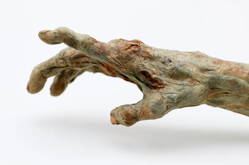 Zombie hand and forearm reaching forward with curled fingers on white background