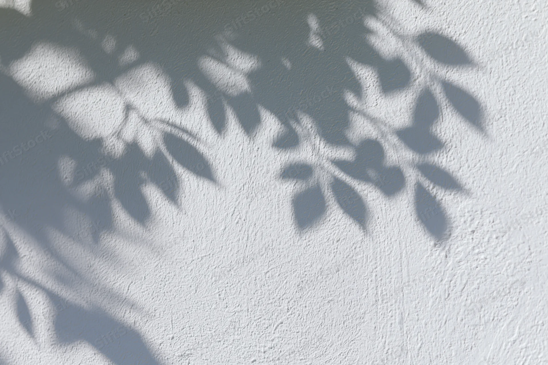 Dappled shadows of leaves cast on a white textured wall outdoors
