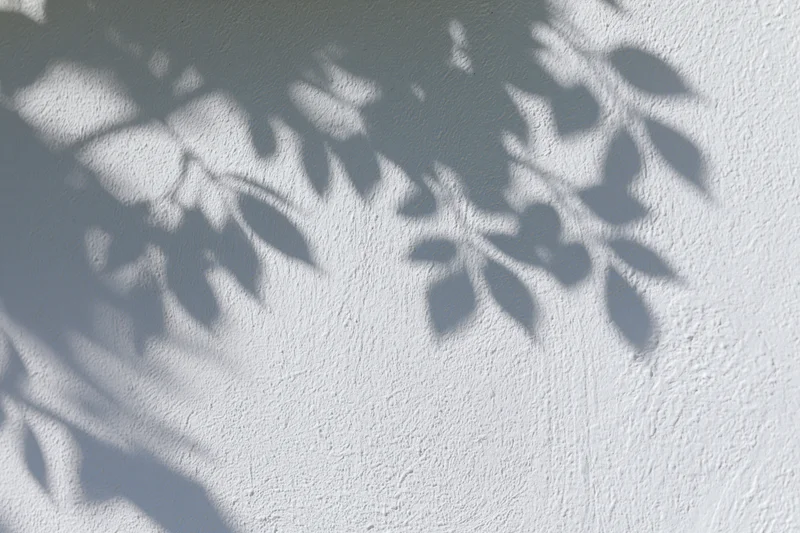 Dappled shadows of leaves cast on a white textured wall outdoors