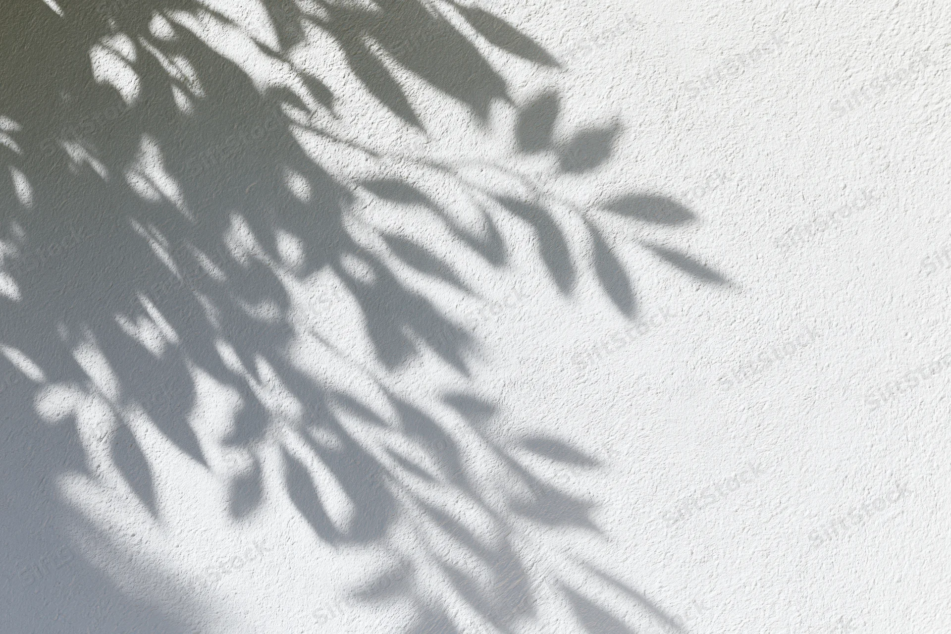 Dappled leaf shadows on a white textured wall outdoors