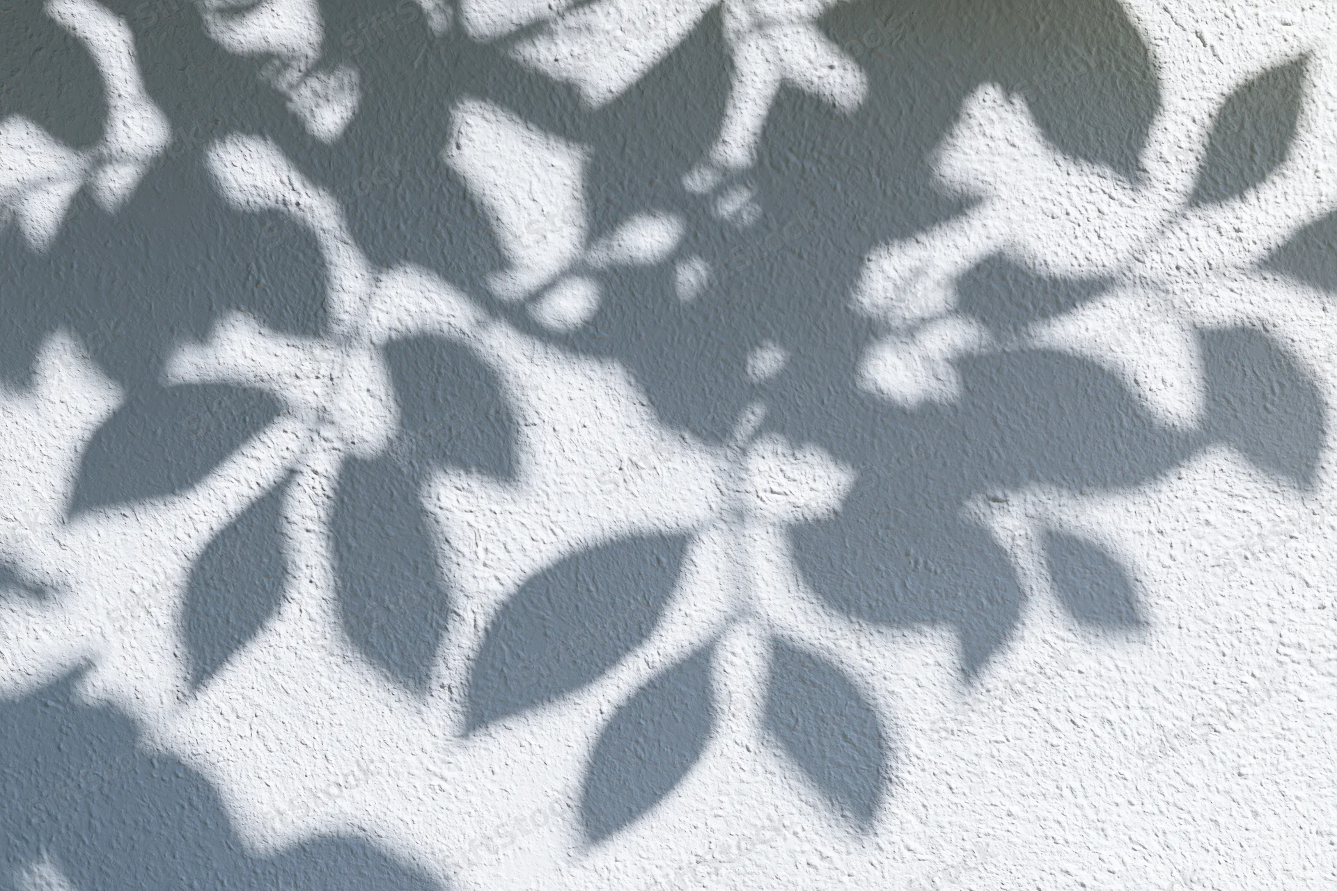 Dappled shadows of leaves and branches cast on a textured white wall outdoors