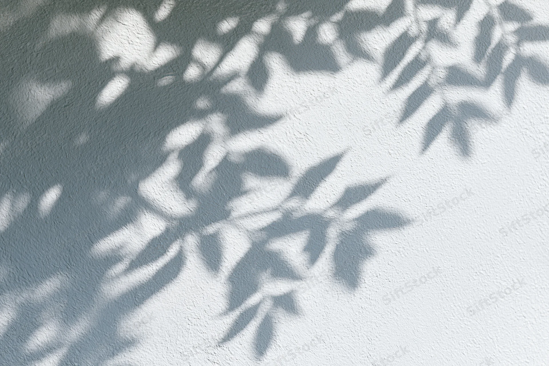 Dappled leaf shadows on a white textured wall outdoors