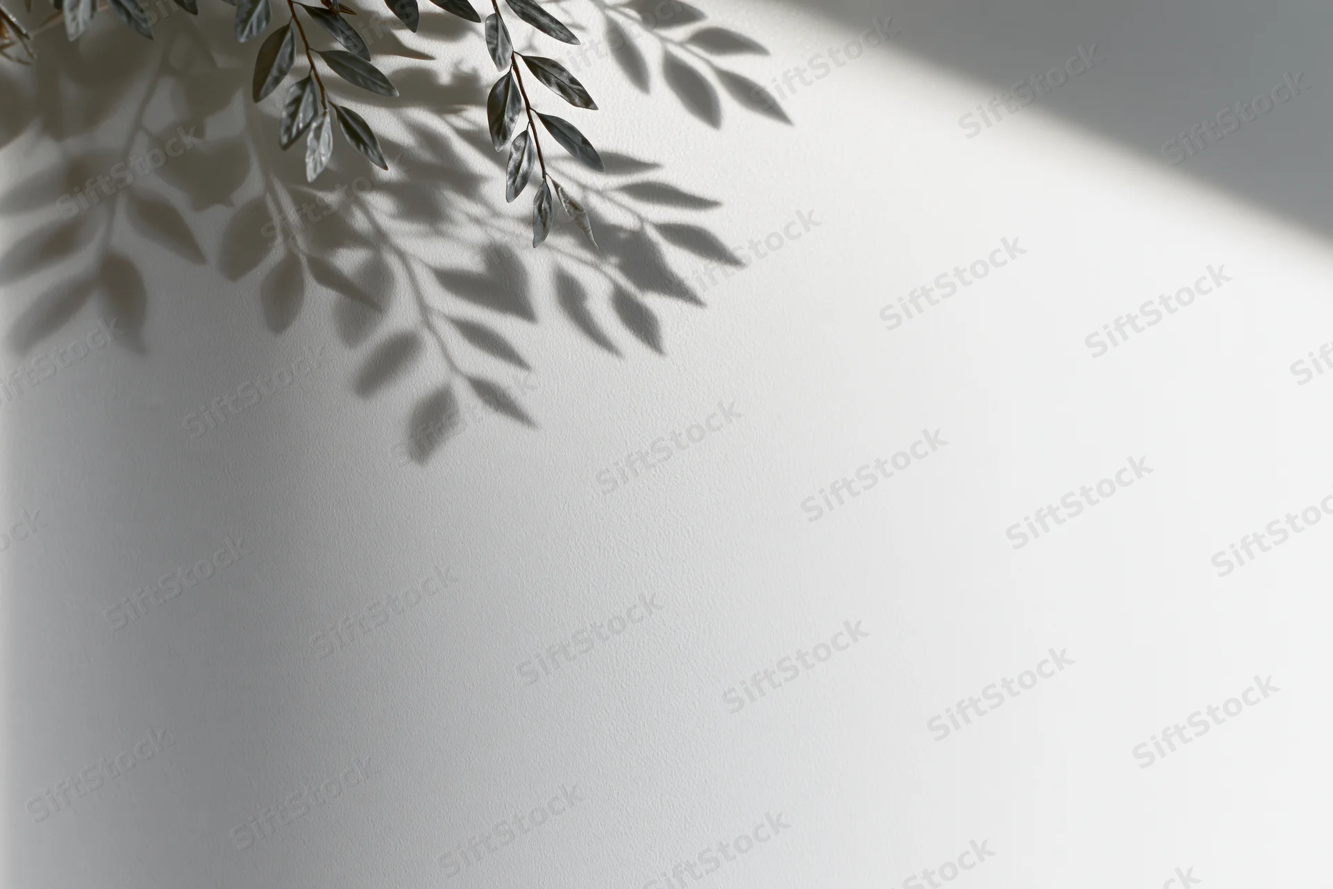 Soft shadow of leafy branches cast on a white wall in a minimalist interior