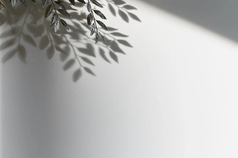 Soft shadow of leafy branches cast on a white wall in a minimalist interior