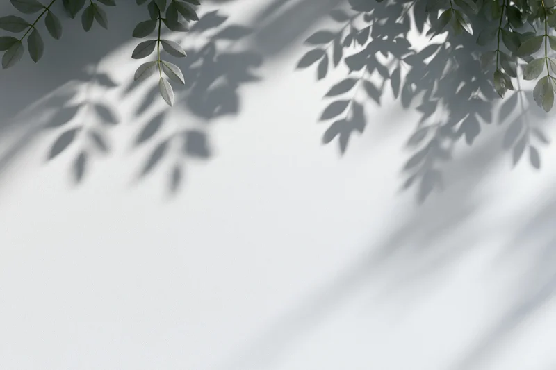 Leafy branches casting soft shadows on a white wall with copyspace