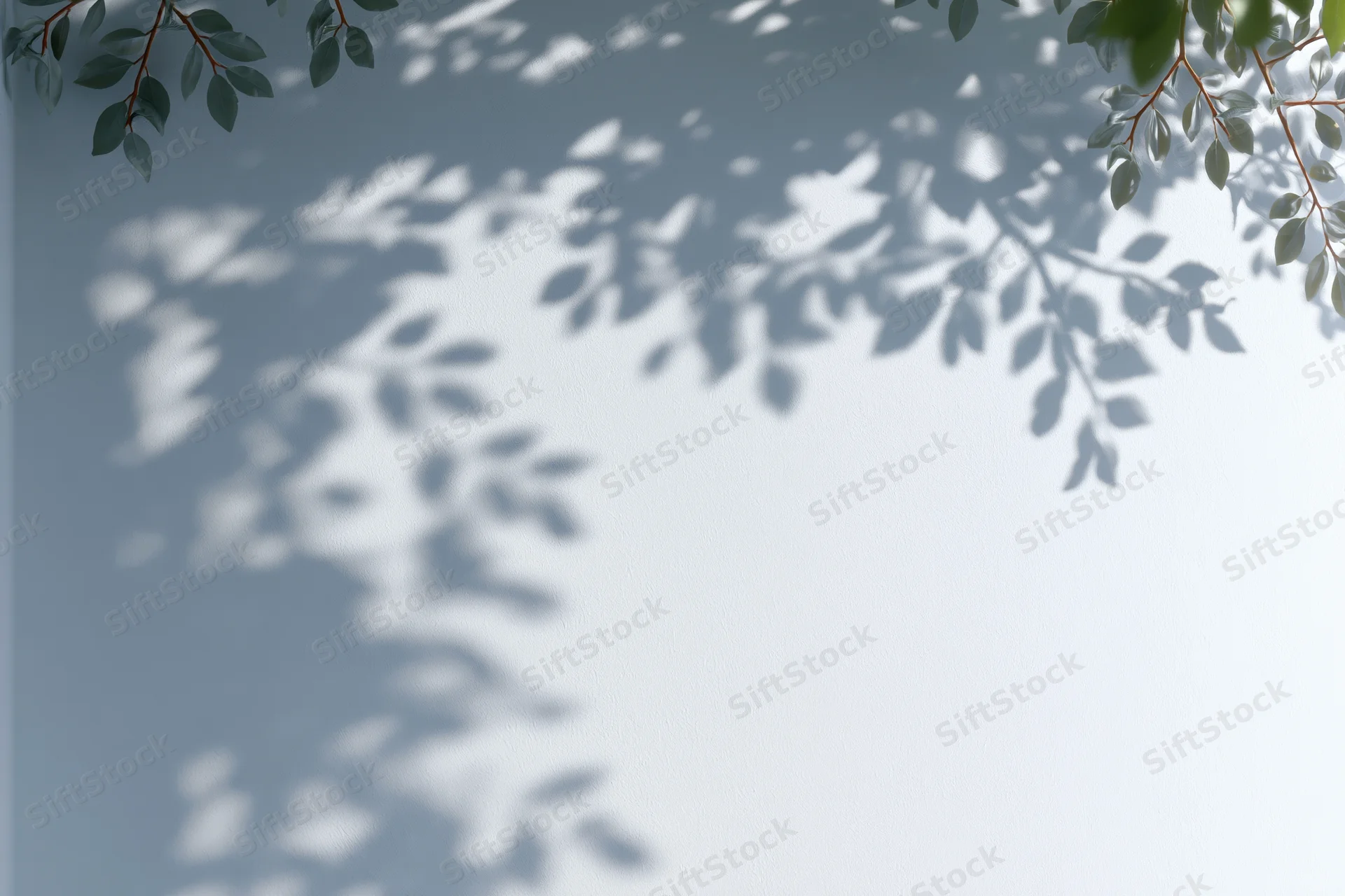 Soft leaf shadows cast on a light blue wall with green branches framing the top corners