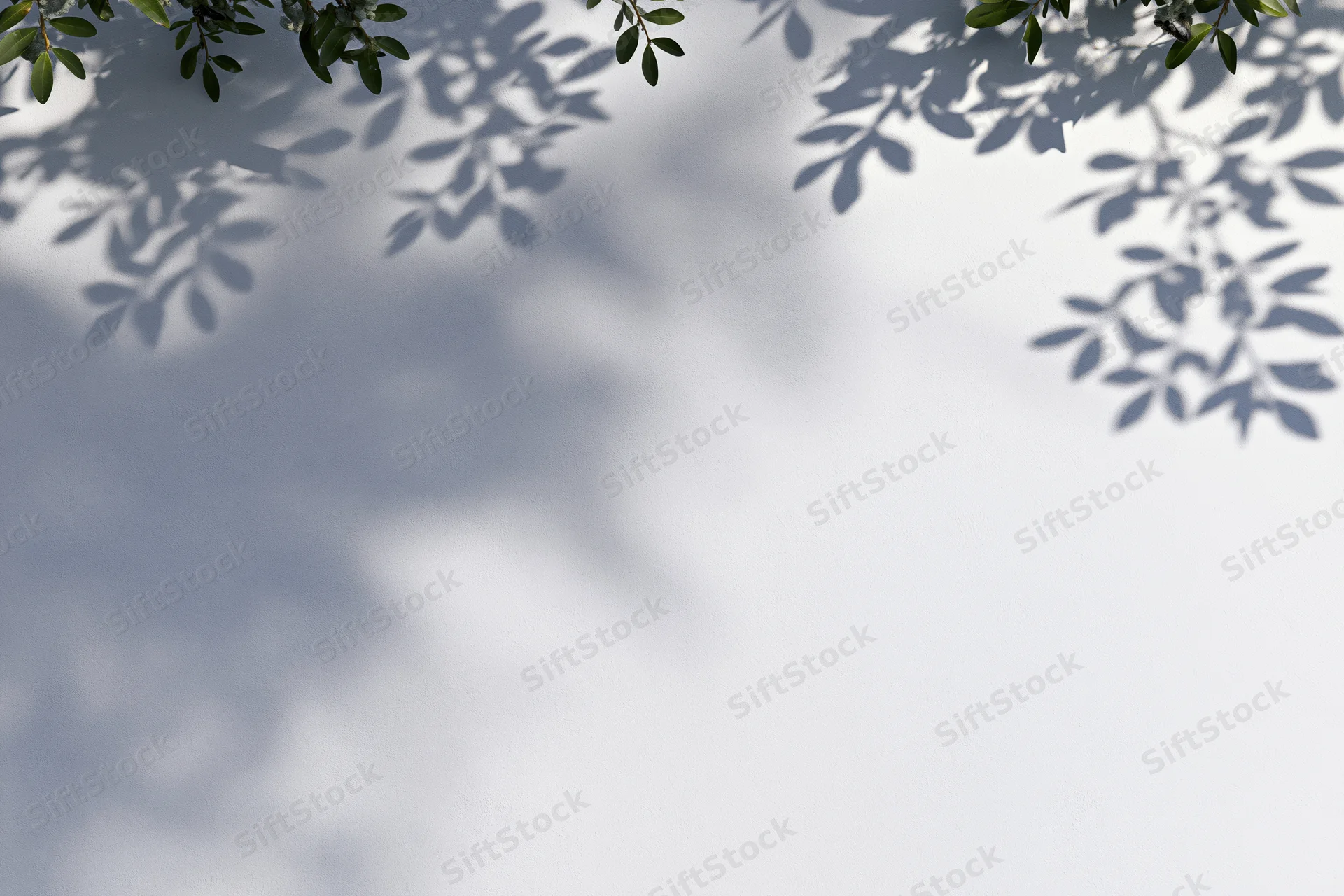 Soft shadows of leafy branches cast on a white surface with copyspace below