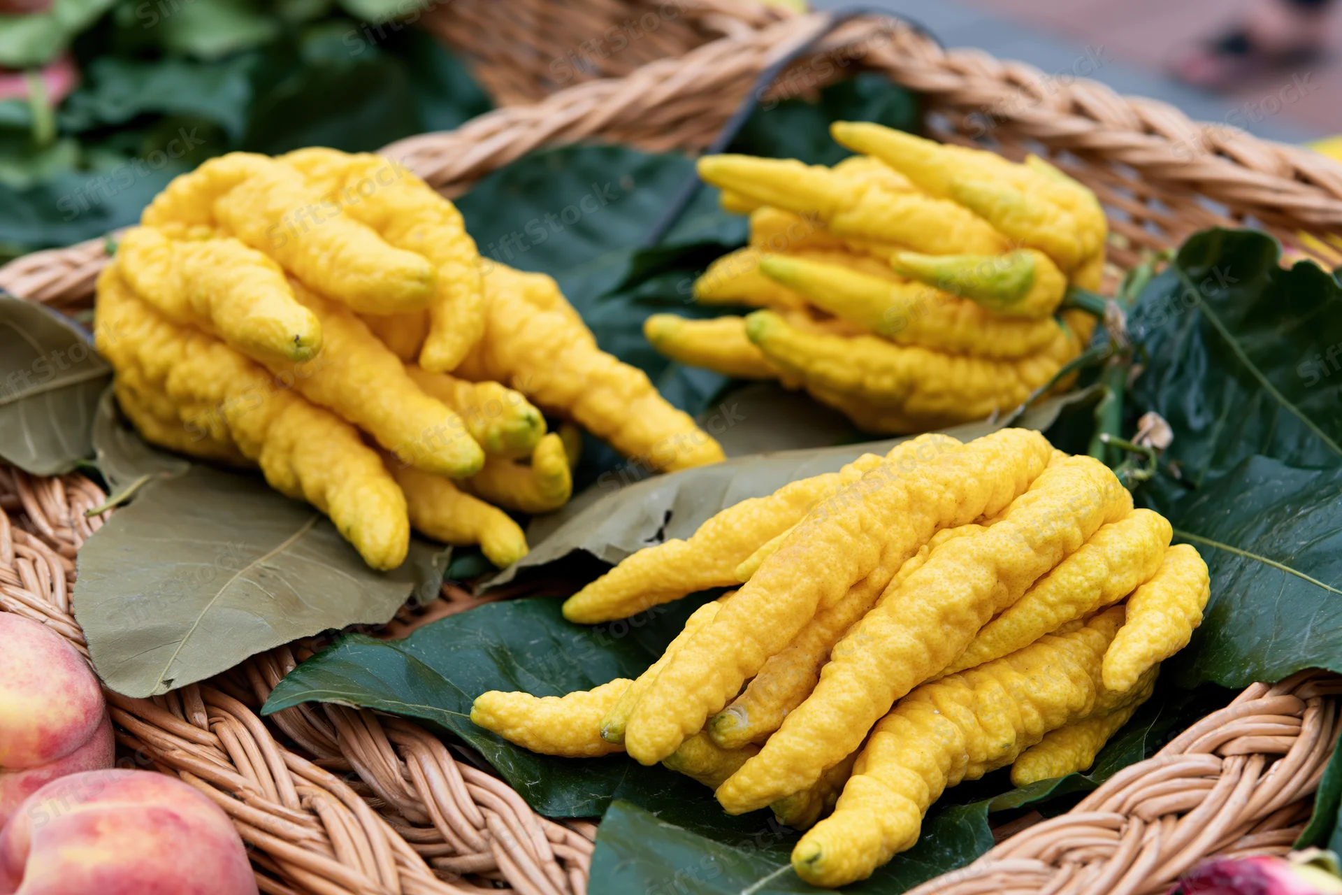 Buddha's-hand citrus fruits arranged in a wicker basket with green leaves and peaches