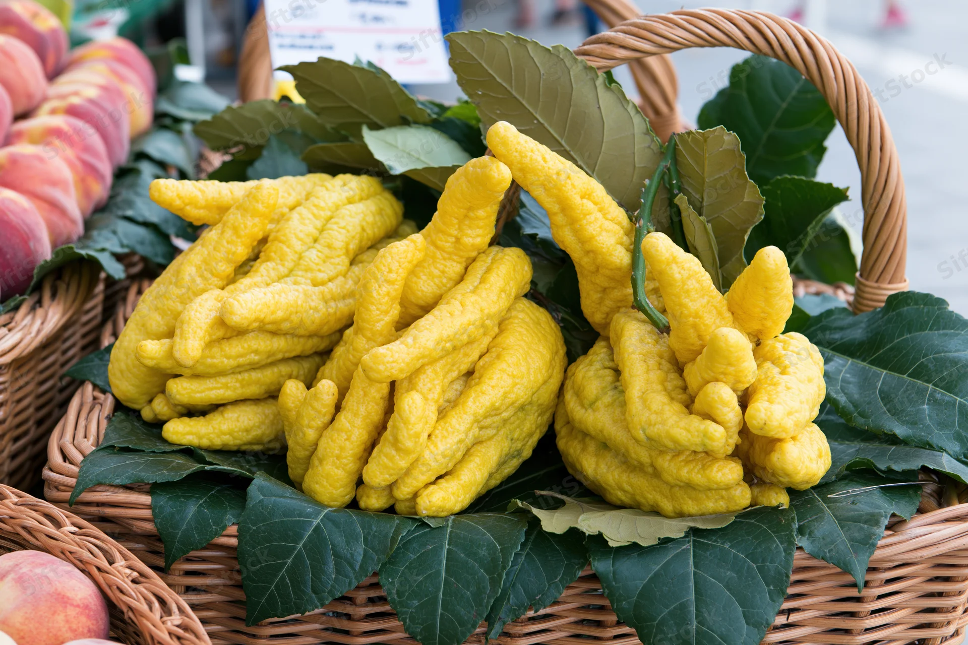 Buddha's-hand citrus fruits arranged in a wicker basket with green leaves at a farmers market display