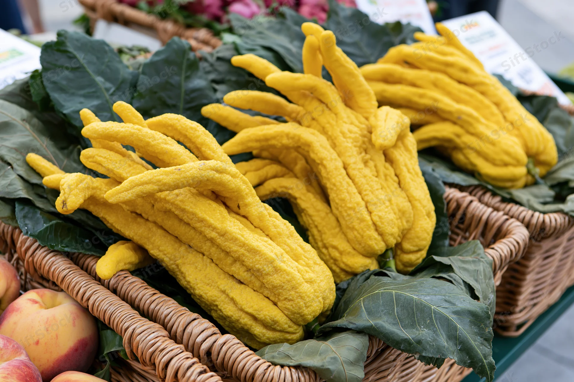 Buddha's-hand citrus fruits arranged in wicker baskets with green leaves at a market stall