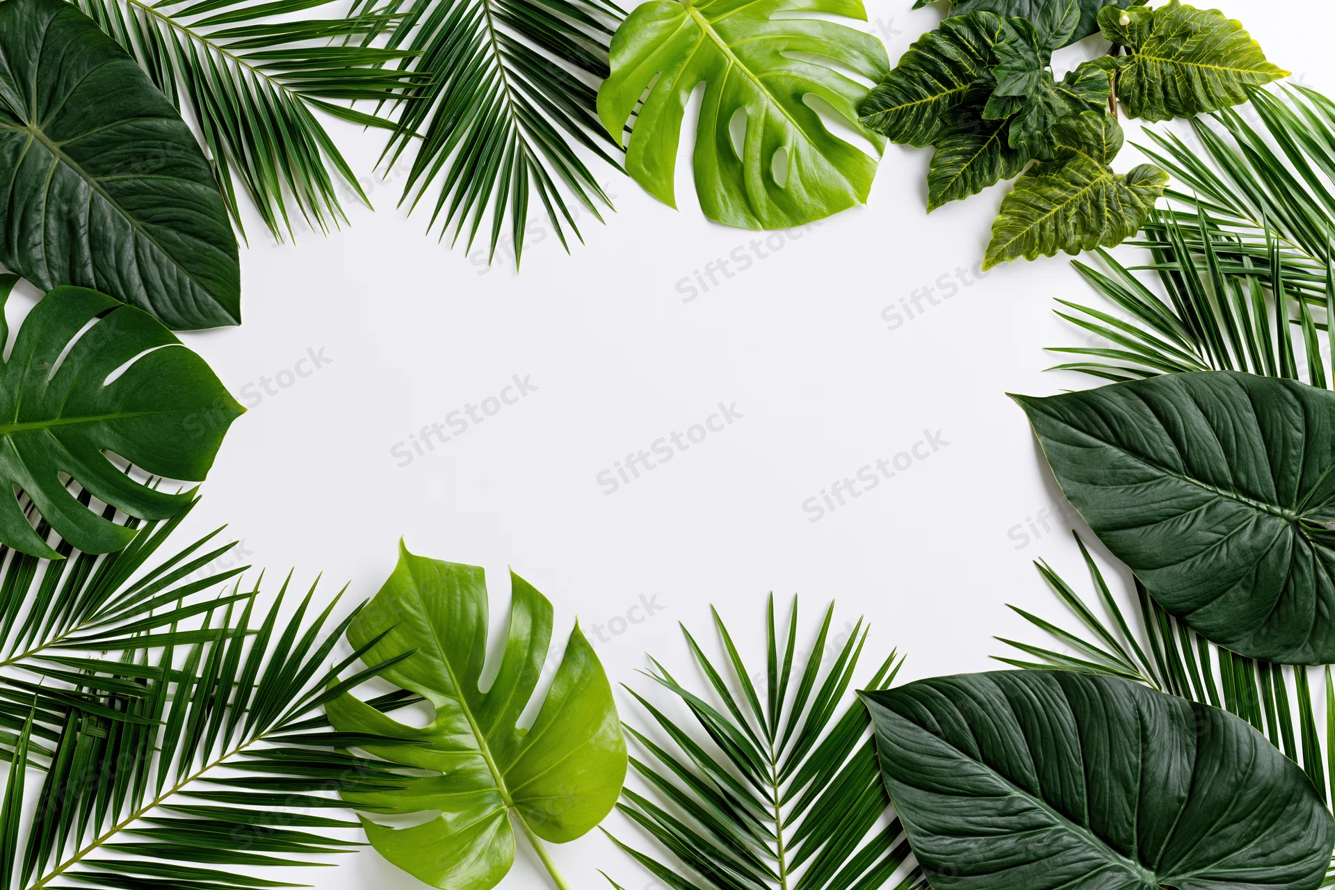 Tropical leaves arranged in a circular frame on white background with central copyspace