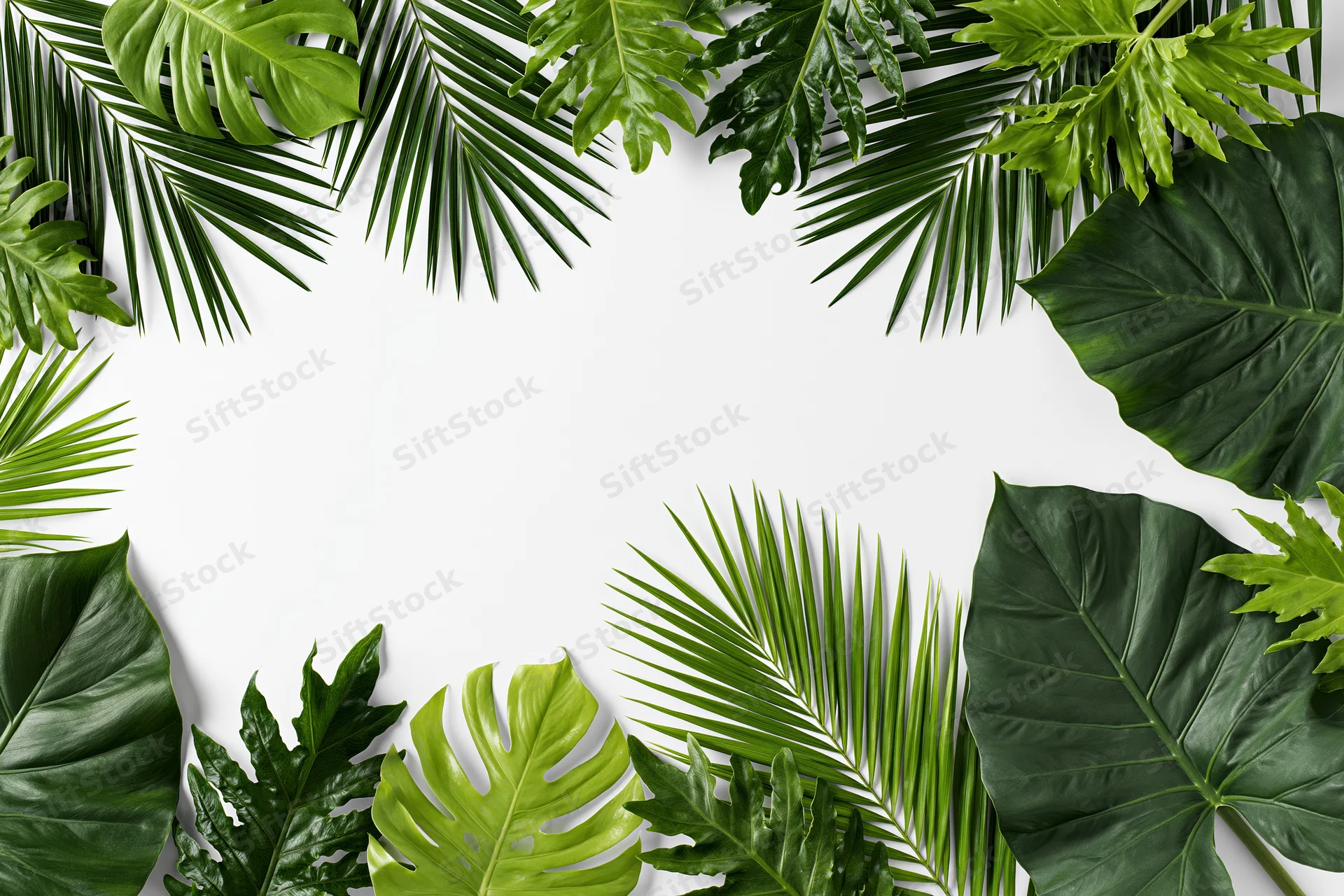 Tropical leaves arranged in a frame around a white background with copyspace