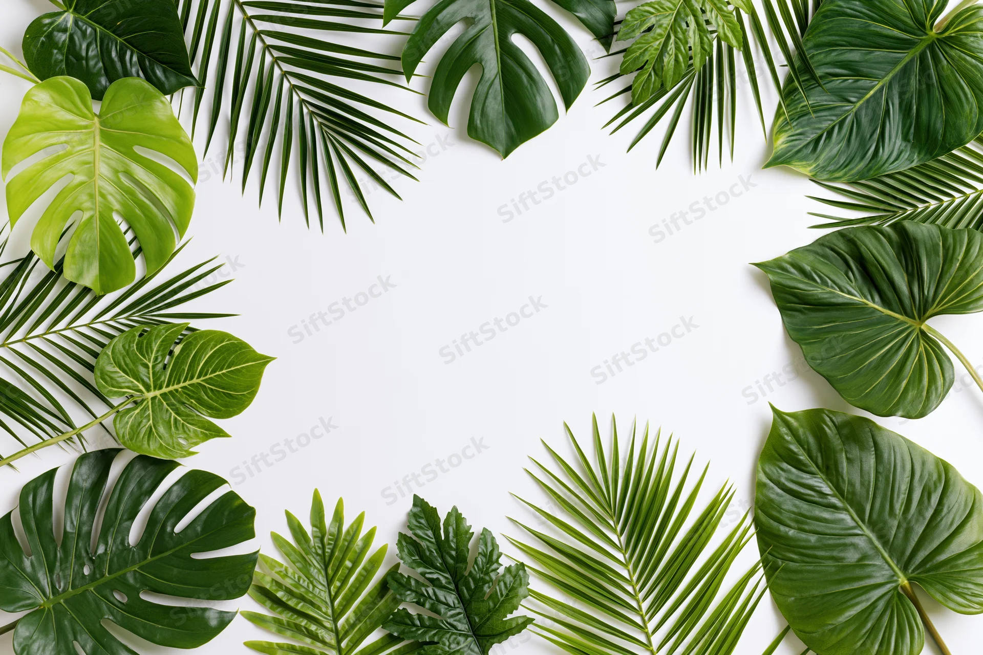 Tropical leaves arranged in a frame around a white background with copyspace