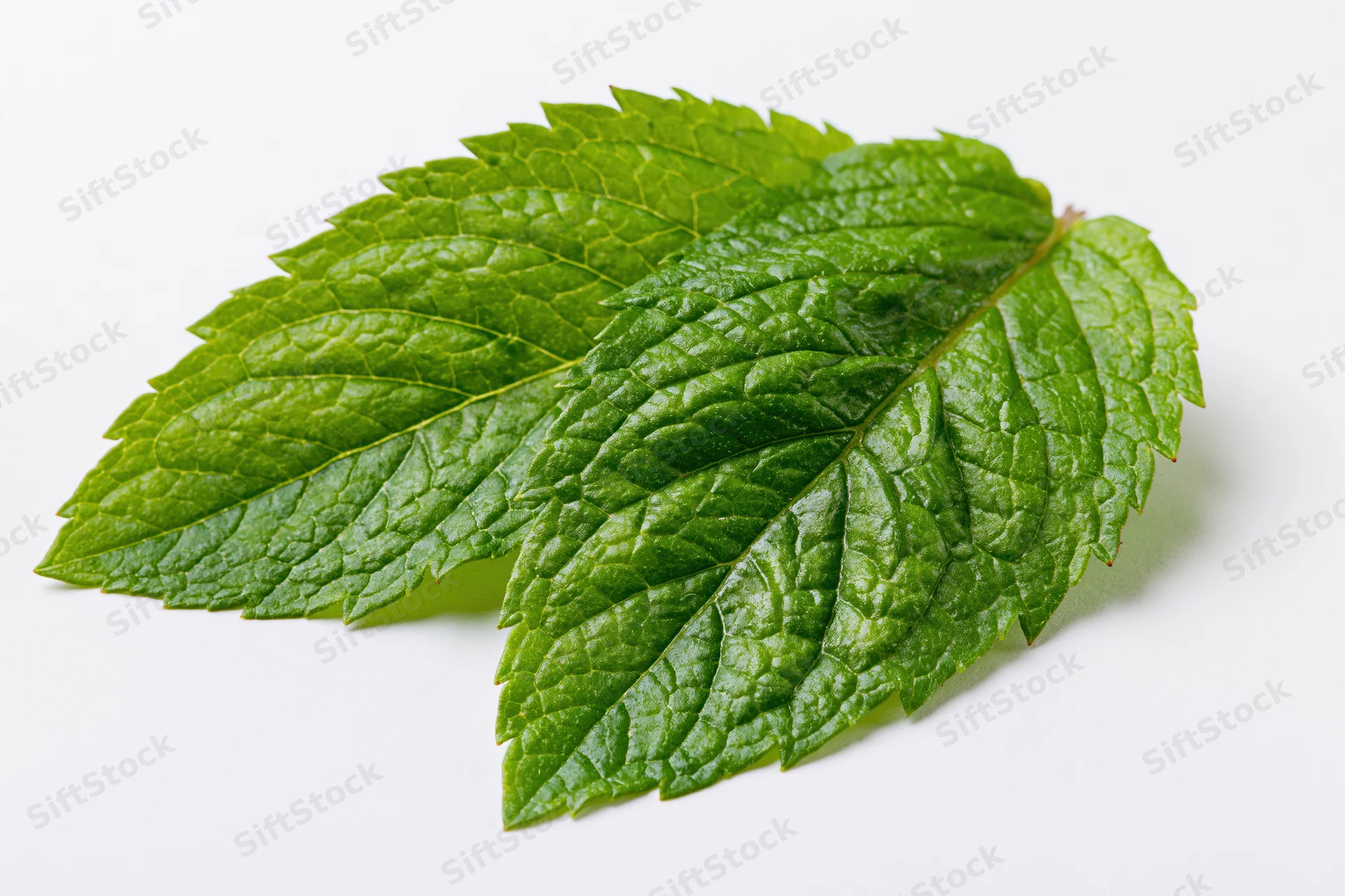 Two fresh mint leaves overlapping on a white surface