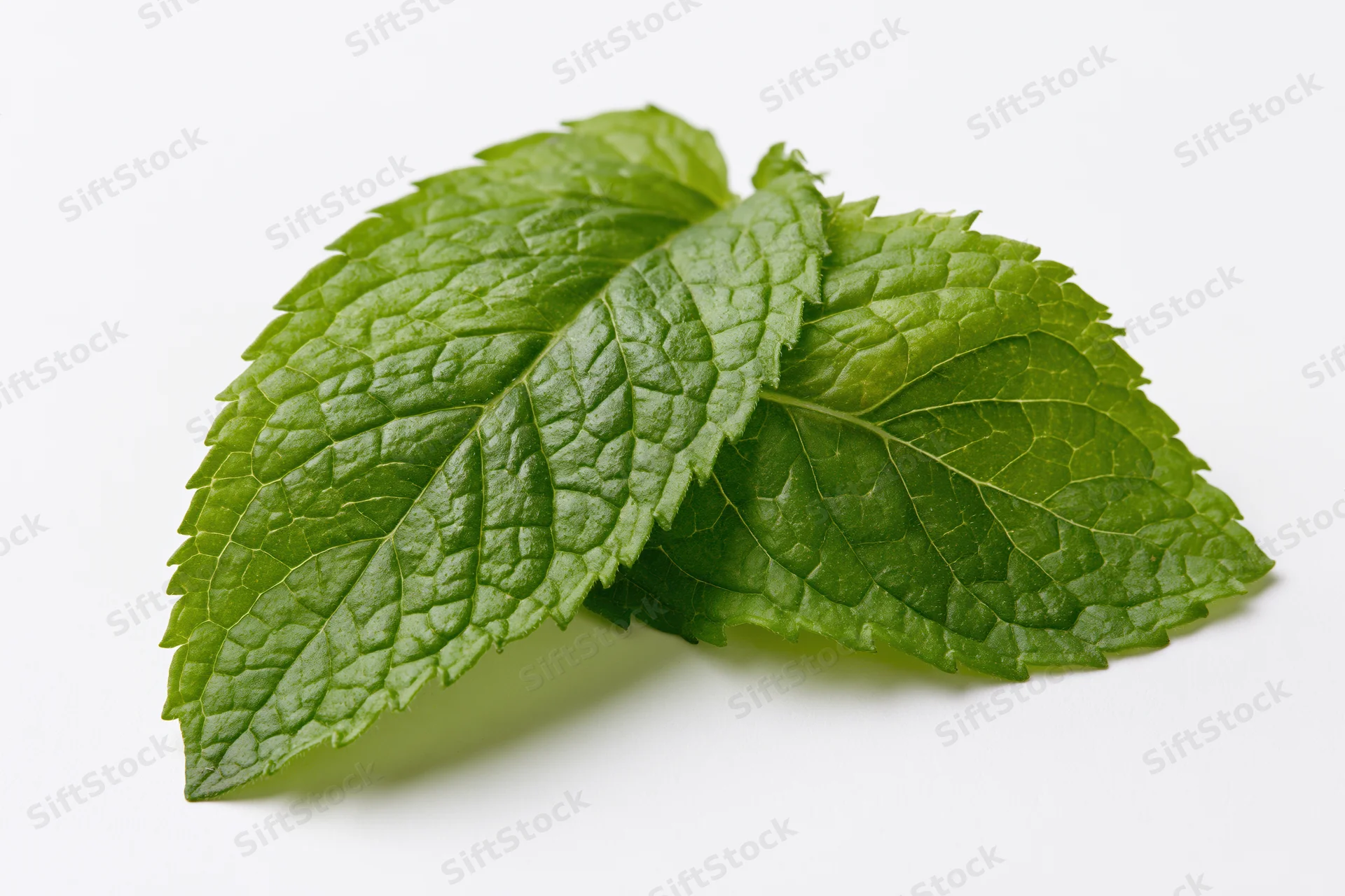 Two fresh mint leaves overlapping on a white surface