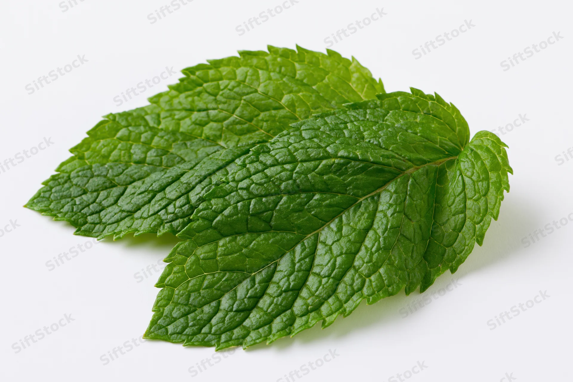 Two fresh mint leaves overlapping on a white background