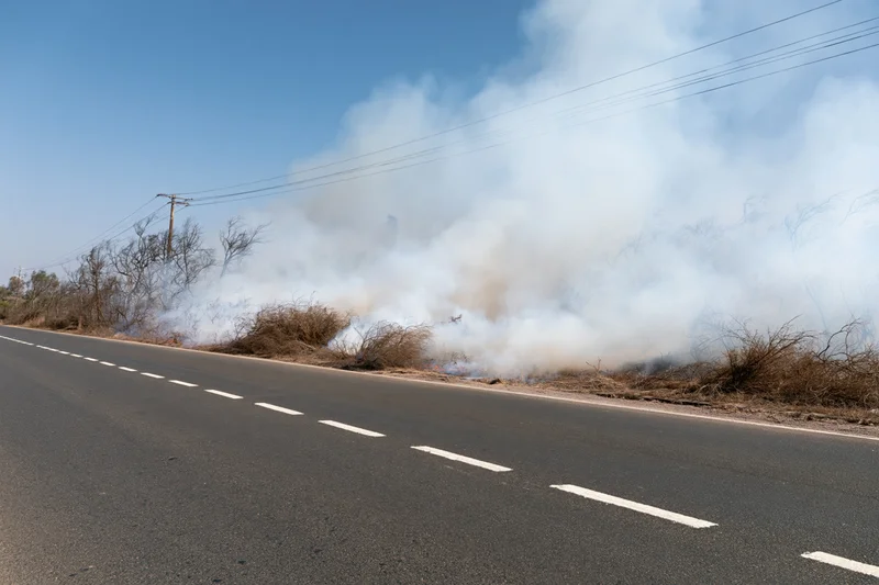 Wildfire burning along roadside shoulder with thick smoke rising from dry brush under clear blue sky