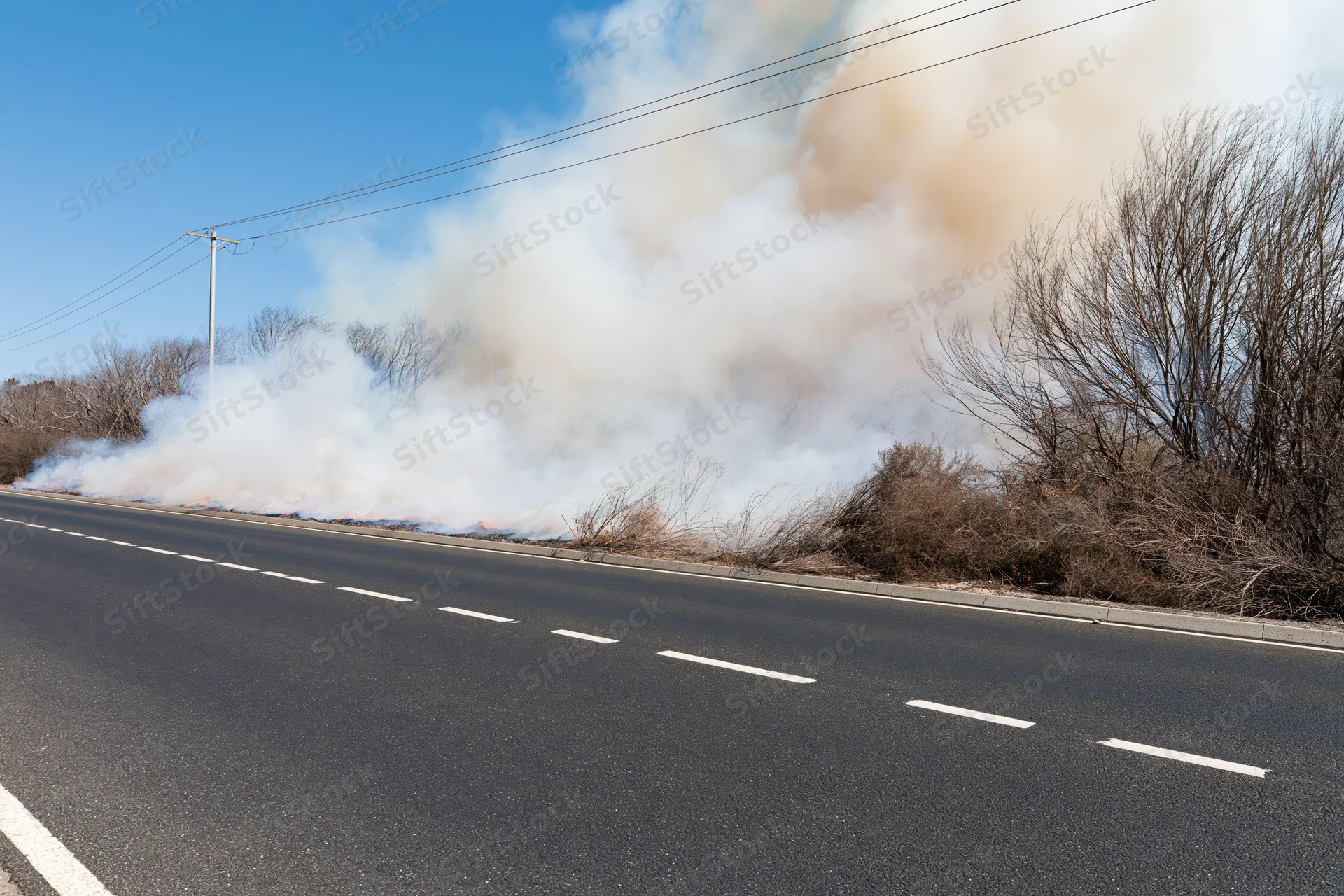 Wildfire burning along roadside shoulder with thick smoke rising beside asphalt road