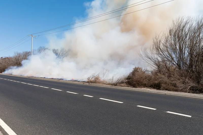 Wildfire burning along roadside shoulder with thick smoke rising beside asphalt road