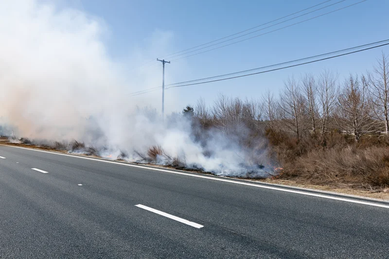 Wildfire burning along the roadside shoulder with thick white smoke rising from dry brush under a clear blue sky