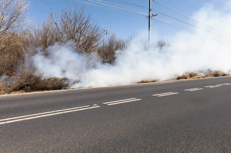Wildfire burning along roadside shoulder with thick white smoke rising from dry brush beside asphalt road