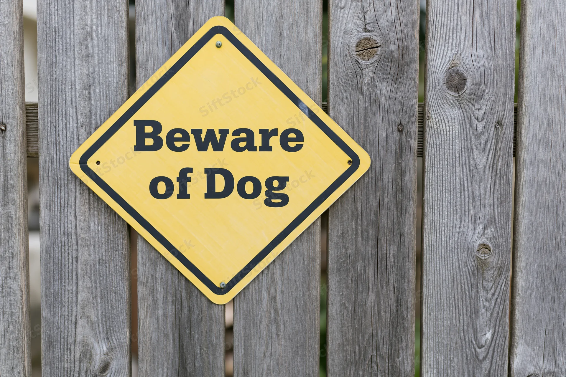 Yellow diamond-shaped beware of dog sign mounted on a weathered wooden fence outdoors