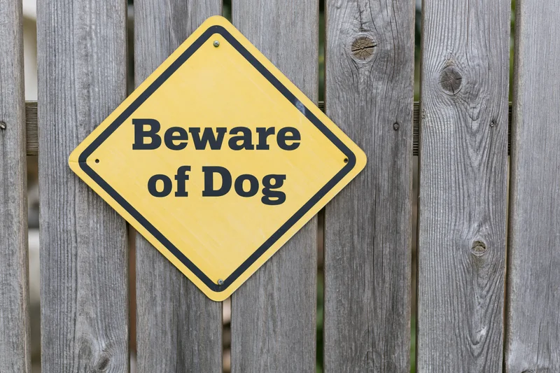 Yellow diamond-shaped beware of dog sign mounted on a weathered wooden fence outdoors
