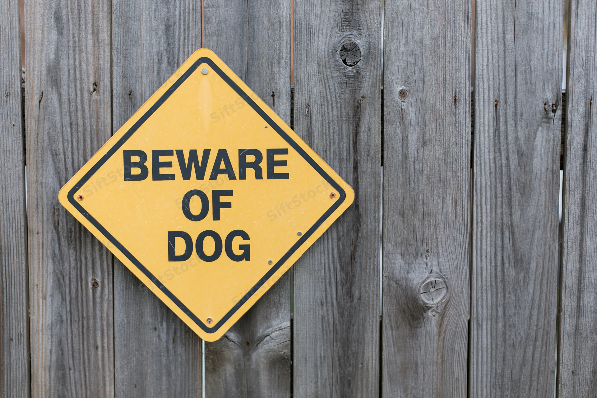 Yellow diamond-shaped beware of dog sign mounted on a weathered wooden fence