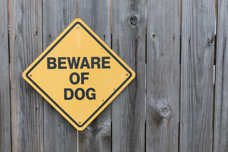 Yellow diamond-shaped beware of dog sign mounted on a weathered wooden fence