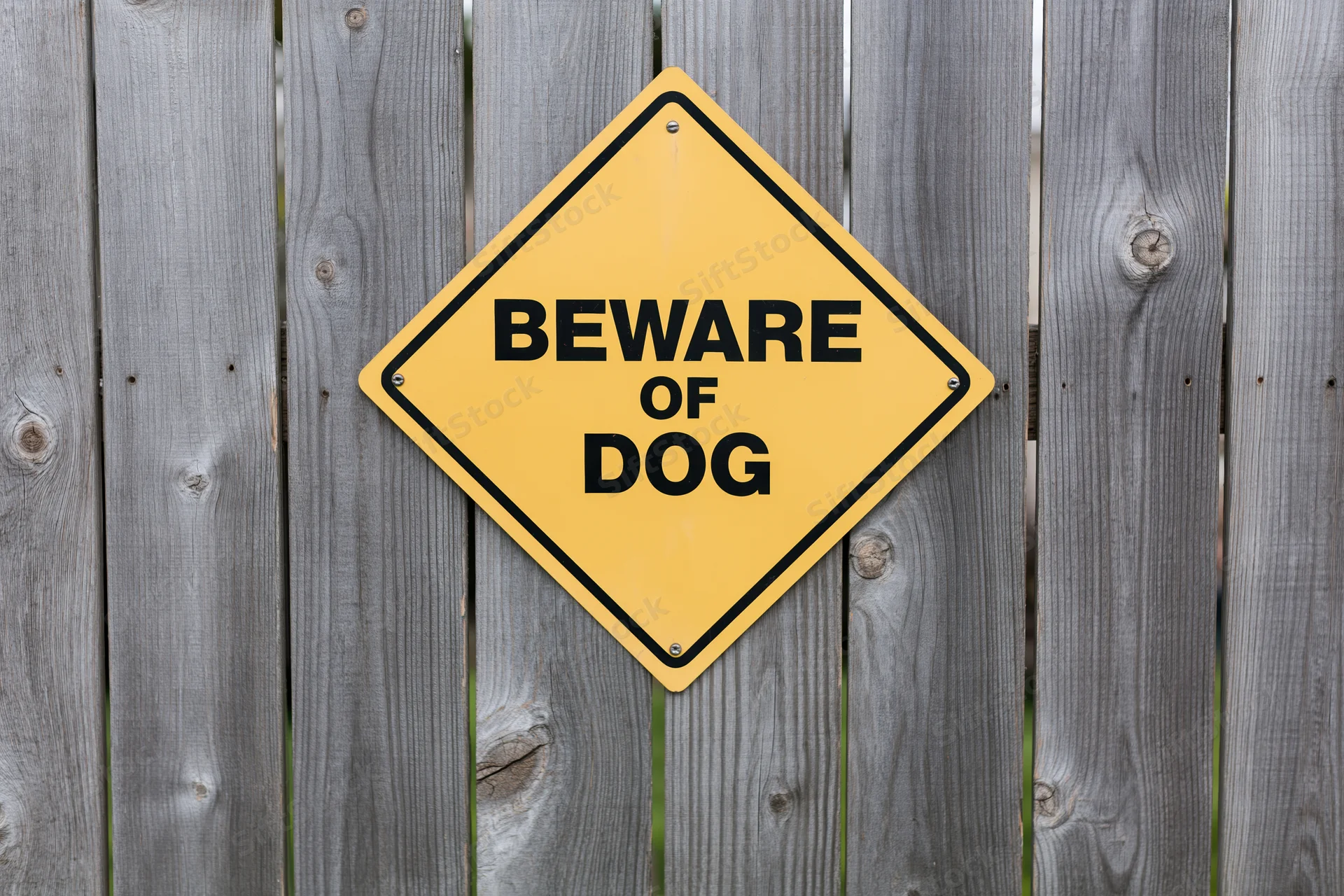 Yellow diamond-shaped beware of dog sign mounted on a weathered wooden fence