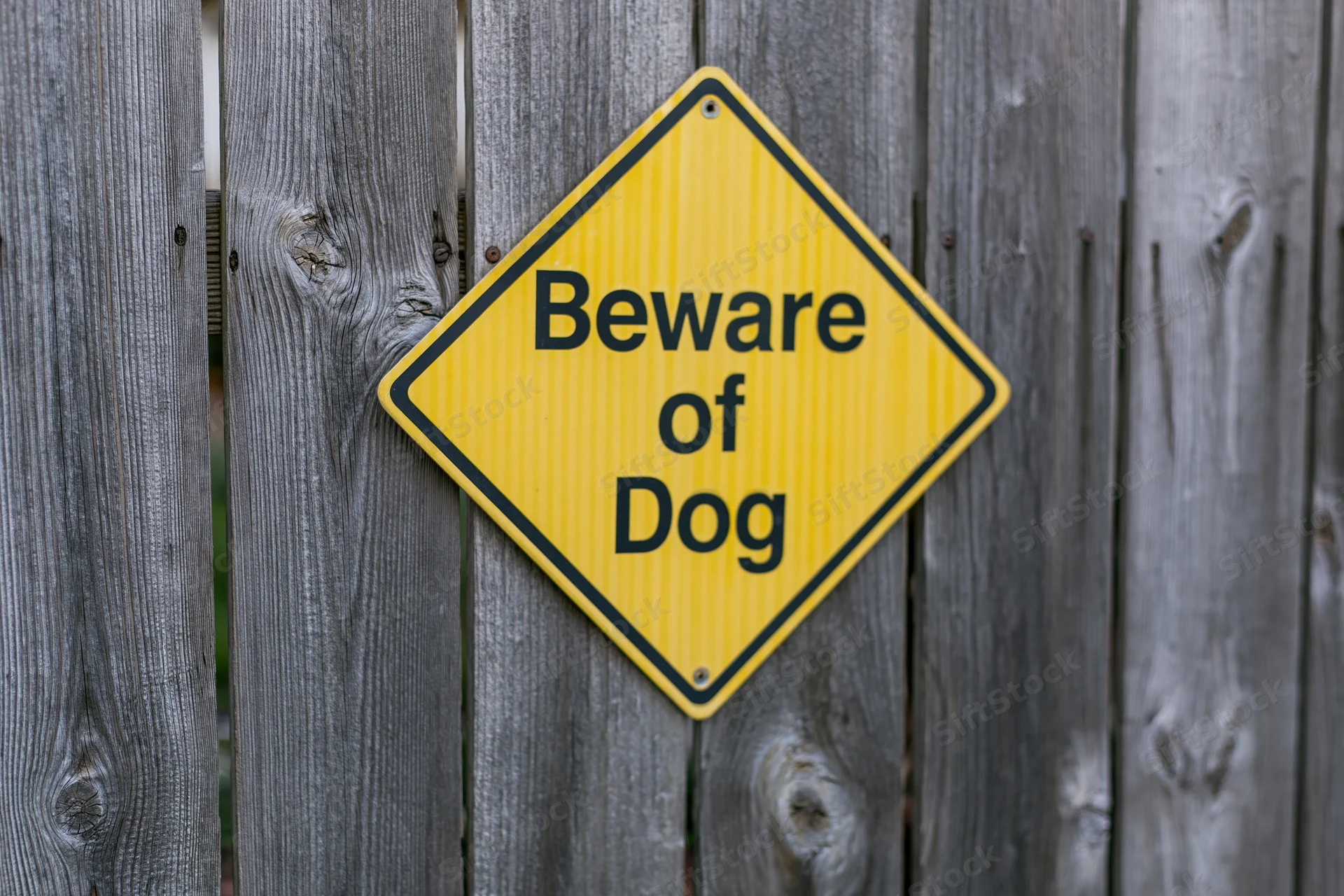Yellow diamond-shaped beware of dog sign mounted on a weathered wooden fence