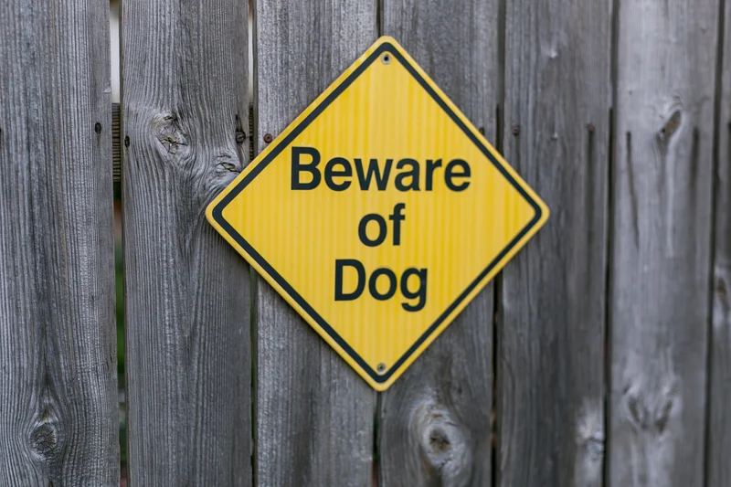 Yellow diamond-shaped beware of dog sign mounted on a weathered wooden fence