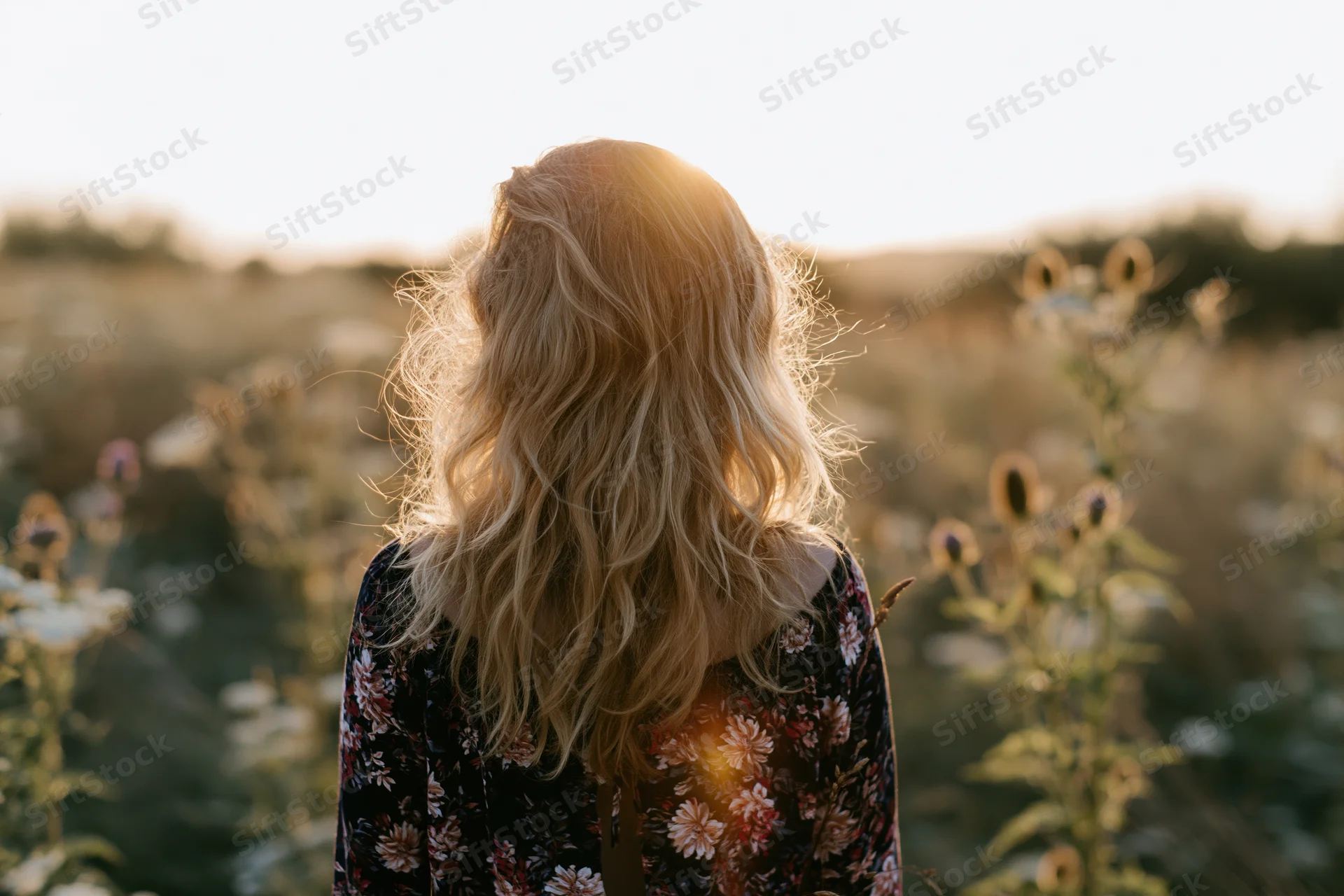 Woman with long wavy blonde hair seen from behind standing in a field of wildflowers at sunset