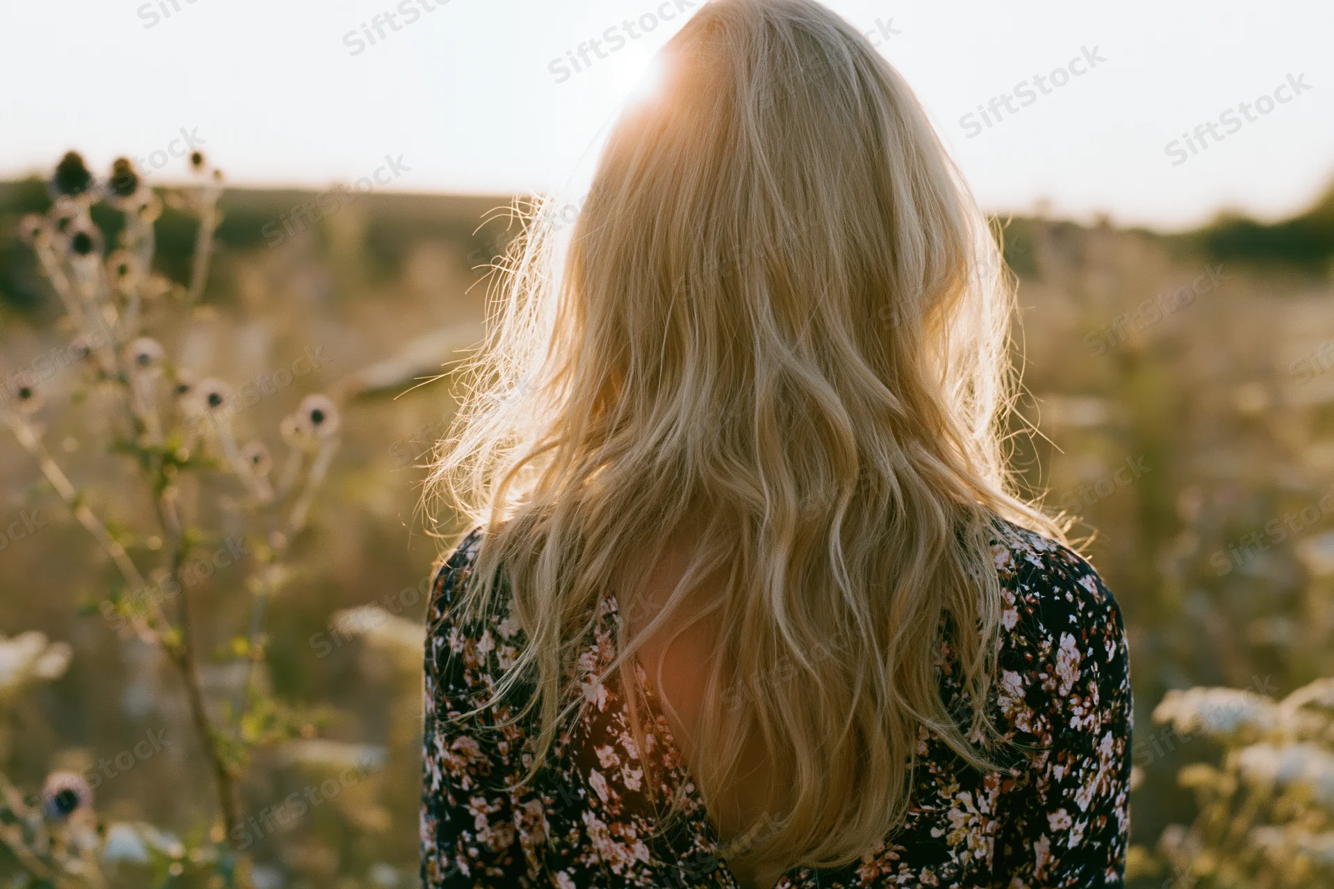 Woman with long wavy blonde hair seen from back in a sunlit field at sunset