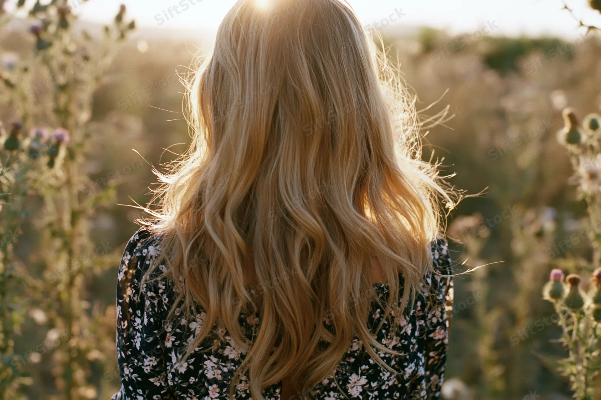 Woman with long wavy blonde hair seen from back standing in a sunlit field of wildflowers