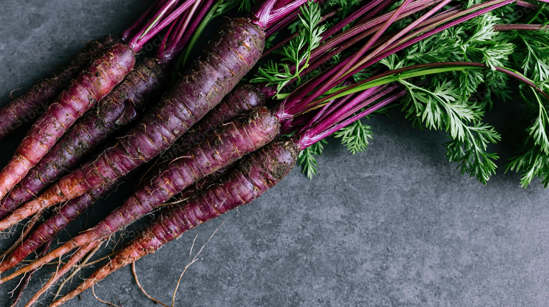 Purple carrots with leafy green tops arranged on dark stone surface