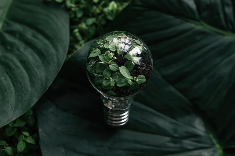 A lightbulb filled with small green plants resting on large dark green leaves