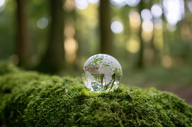 Glass globe etched with world map resting on dense moss in forest
