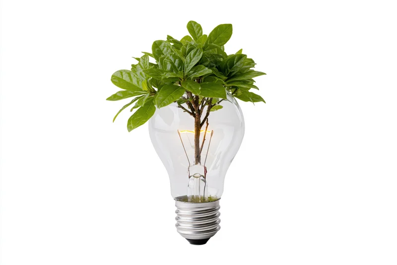 A small green plant growing inside a transparent glass lightbulb against a white background