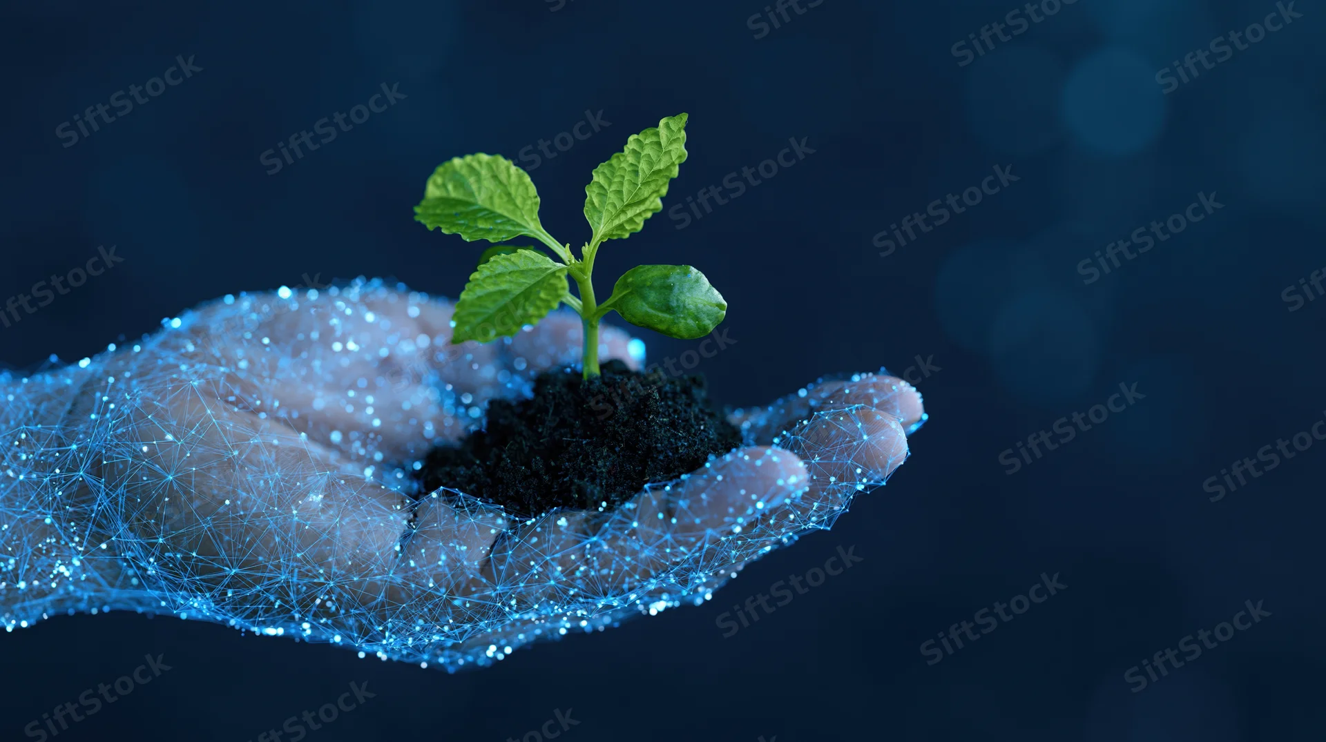 Digital wireframe hand holding a small green plant in soil against a dark blue background