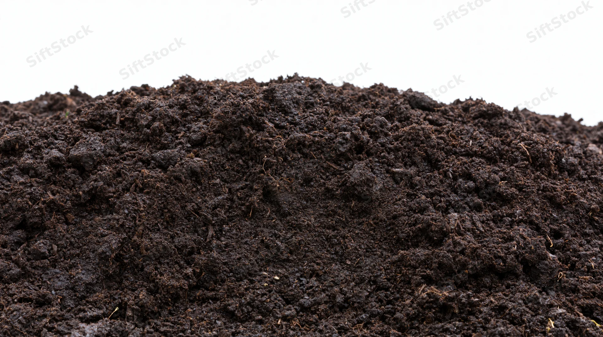 Mound of dark garden soil filling the lower half of the frame against a white background