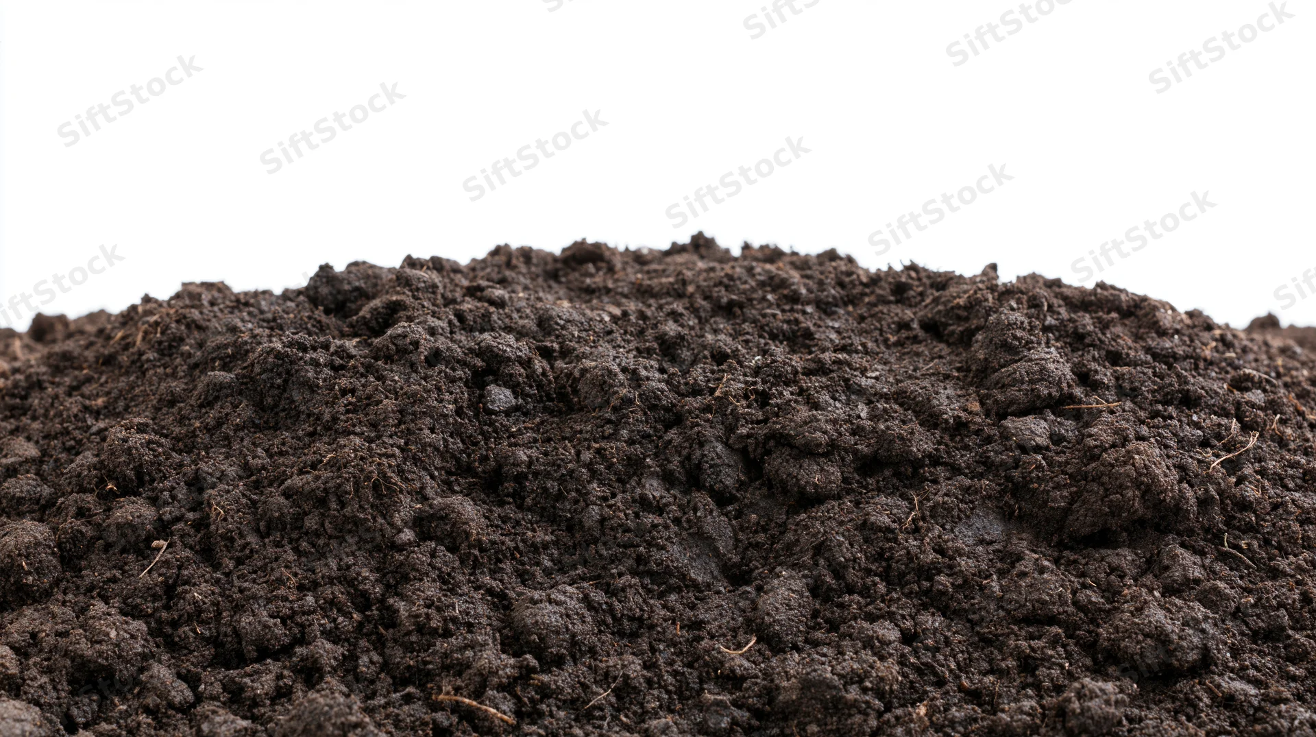 Mound of dark garden soil filling lower half of frame against white background