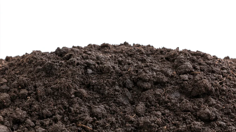 Mound of dark garden soil filling lower half of frame against white background