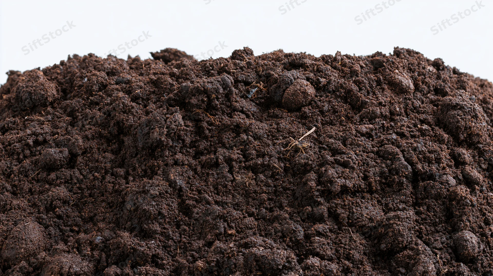 Mound of dark garden soil filling the lower half of the frame against a plain white background
