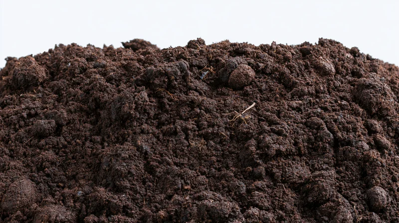 Mound of dark garden soil filling the lower half of the frame against a plain white background